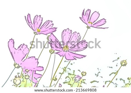Colorful abstract decorative background of pink daisies on a white background. Can be used as wallpaper.