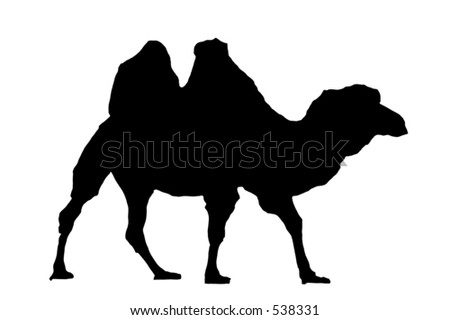 Black And White Silhouette Of A Camel Stock Photo 538331 : Shutterstock