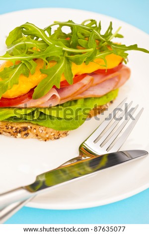 Open sandwich with melted cheese and salad decoration