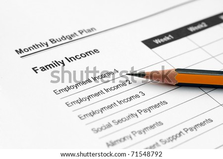 Monthly budget plan - family income