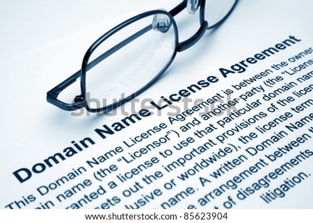 Domain name license agreement