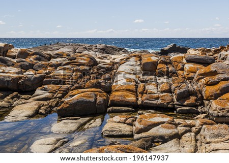 Rock pool near Bingi Bingi point. Bingie (near Morua) . NSW. Australia