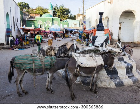 HARAR, ETHIOPIA - DECEMBER 24, 2013: Donkeys on market square of walled city of Jugol.  Ethiopian donkey population is biggest in Africa and also the second largest in the world after China.