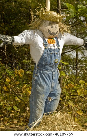 Scarecrow,Straw man