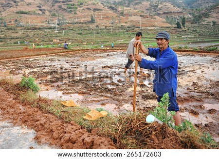 DALI, CHINA - MAY 25: unidentified Chinese farmers work hard on rice field on May 25, 2011 in Dali, China. For many farmers rice is the main source of income (around $800 annual).