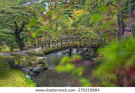 Bridge in nature landscape (leaves on foreground blurred)