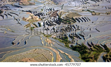 Beautiful rice terraces in China (Yuanyang, China)