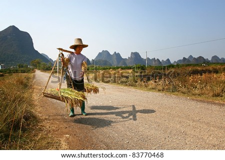 DALI, CHINA - MAY 22: Chinese farmer works in a rice field on May 22, 2010 in Dali, China. For many farmers rice is the main source of income (around $800 annual).