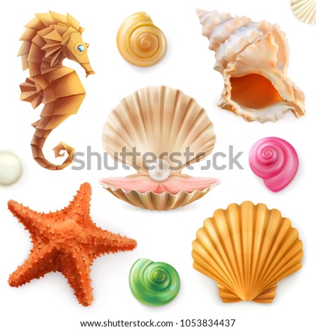 Shell, snail, mollusk, starfish, sea horse. 3d vector icon set