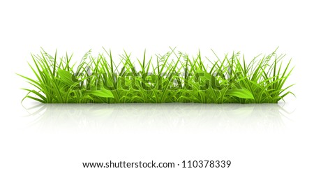 Grass, vector