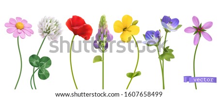 Spring and summer wildflowers. Flowers 3d realistic vector set