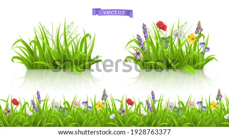 Wild flowers, forb alpine pastures. Spring grass seamless pattern 3d realistic vector