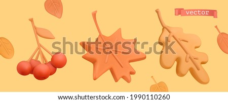 Autumn icon set. Red rowan, orange maple leaf, yellow oak leaf. 3d vector plasticine art objects