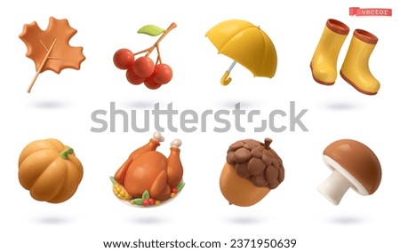 Autumn set of simple objects. 3d vector cartoon icon. Maple leaf, rowan berries, umbrella, rubber boots, pumpkin, roast turkey, acorn, mushroom