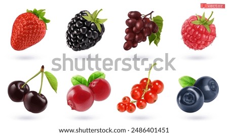 Fruits and berries, high quality realistic vector set. Strawberries, blackberries, grapes, raspberries, cherries, cranberries, currants, blueberries