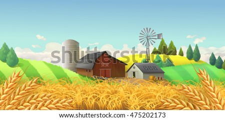 Wheat field. Farm landscape. Vector background