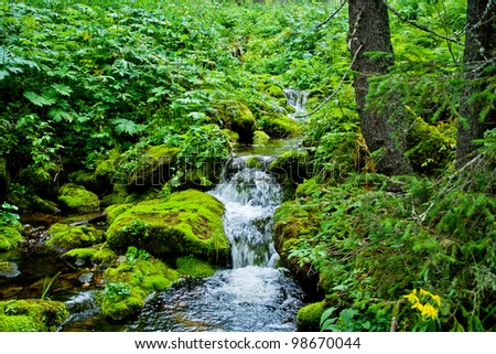 stream in forest in the Ural mountains