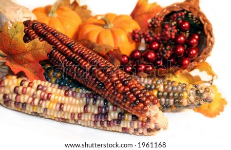 Signs of Autumn representing Thanksgiving and harvest time