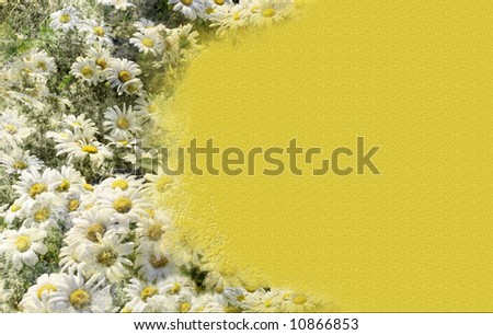 Border of white daisies with yellow centers with grunge and rough texture on yellow
