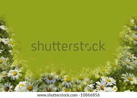Border of white daisies with yellow centers with grunge treatment on green