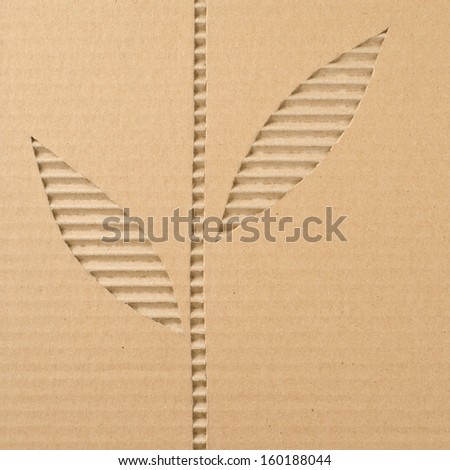 Leaves cut out on a corrugated cardboard