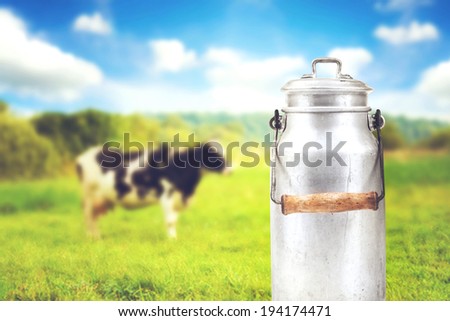 old aluminum milk can against cow pasture meadow