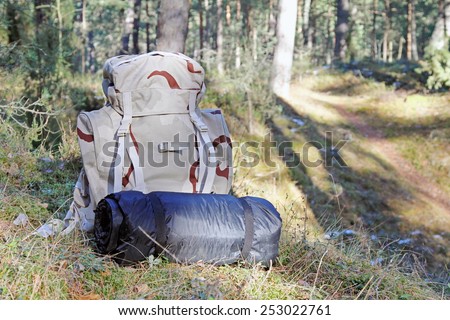 hiking - backpack with camping equipment in woods