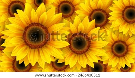 Similar – Image, Stock Photo Sunflower Field