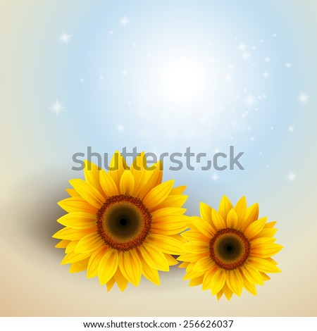Flower Background with sunflower, vector illustration.
