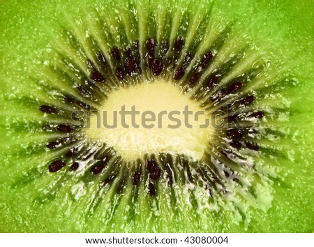Kiwi fruit cut in half close-up