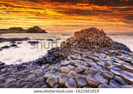 Sunset view on the Giants Causeway in Northern Ireland. Сток-фото © 