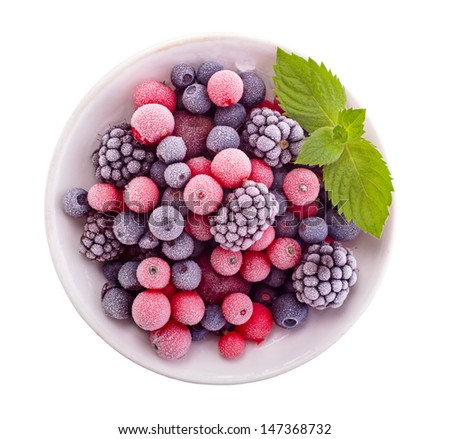 Similar – Image, Stock Photo frozen red berries on a snowball bush