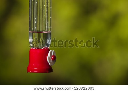 Hummingbird feeder. Side view of hummingbird feeder isolated on blurred natural background.