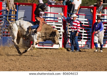 WILLITS, CA - JULY 4: Another rodeo bareback bull rider trying to stay on a twisting bull at the Willits Frontier Days, California\'s oldest continuous rodeo, held July 4, 2011 in Willits, CA.