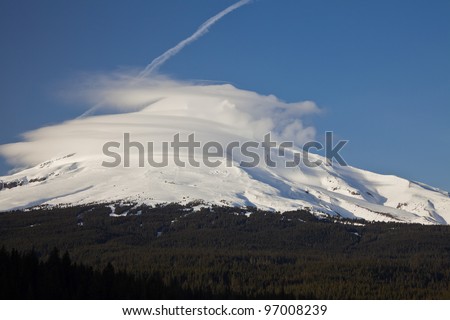 Mount Hood. View of snow capped Mt. Hood with forest in foreground, Oregon, U.S.A.