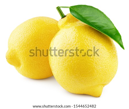 Two whole yellow lemons with green leaf isolated on white background. Lemons citrus fruit with clipping path. Full depth of field.