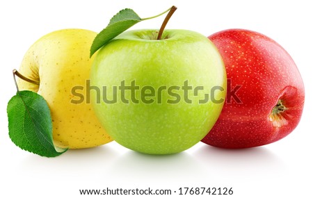 Similar – Image, Stock Photo Various green and red vegetables on wooden kitchen table: lettuce, tomatoes, radish, artichoke, asparagus and cucumber. Healthy plastic free products on rustic background. Top view.