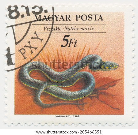 HUNGARY - CIRCA 1989: A stamp printed in Hungary shows grass snake (Natrix natrix), circa 1989