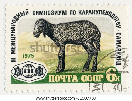 USSR - CIRCA 1975: stamp printed in USSR, shows black sheep and the text \