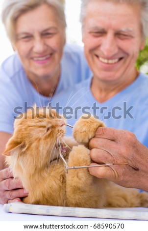 nice elderly couple together in a summer park