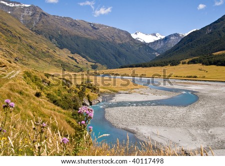 Glorious sunny day with vivid blue river meandering through a valley in New Zealand. Flowers in foreground, icy mountains in distance.