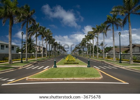 A luxurious residential street lined with palm trees.