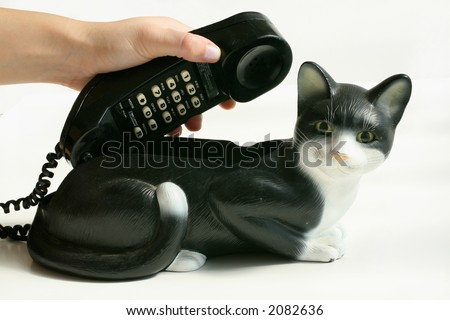 Pick up Cat Phone