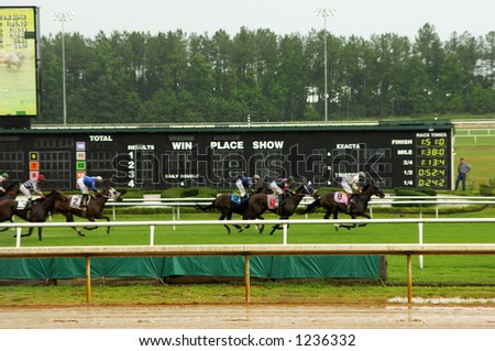 Thoroughbred Horse Race