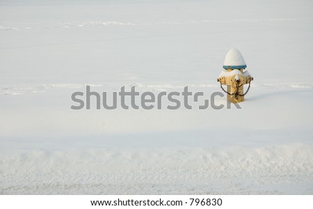 Fire hydrant covered in snow