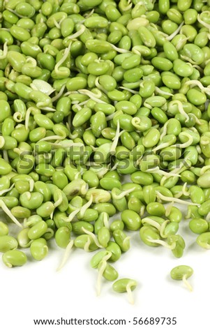 lima bean on white background