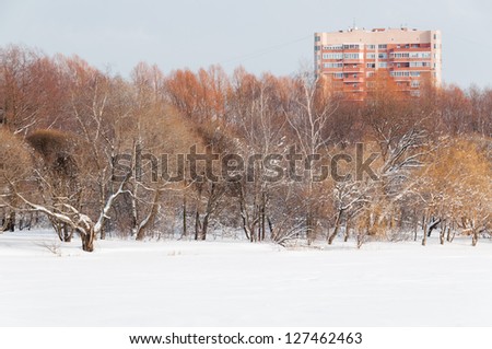 High building behind trees on snow-bound frozen lake bank against blue sky background. Moscow, Russia.