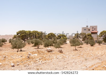 Landscape with village buildings. Judean desert, Palestine, Israel.