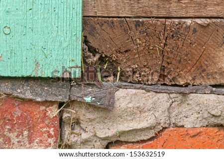 Tiny common shrew (Sorex araneus) sits in crack of wooden beam on house foundation. Kaluzsky region, Russia.