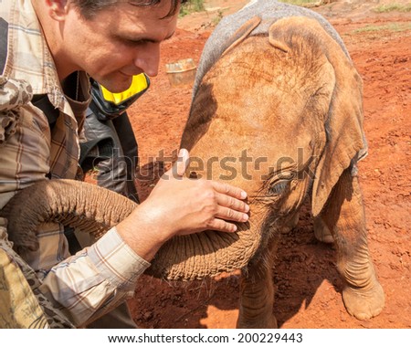 Baby elephant stretches his trunk to man neck. Nairobi, Kenya.